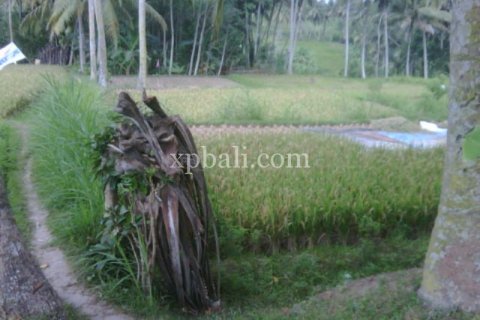 900m2 Land in Gianyar, Indonesia No. 13361 4