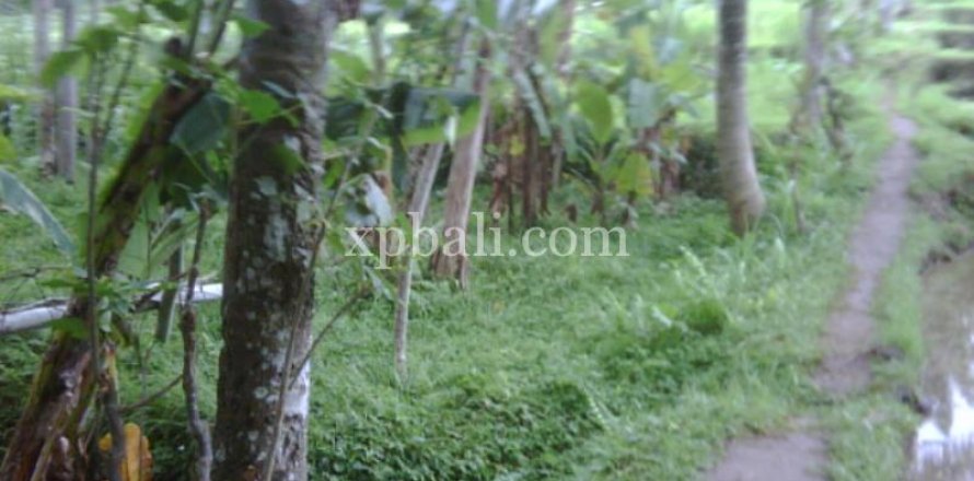 900m2 Land in Gianyar, Indonesia No. 13361