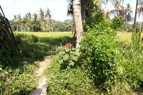 900m2 Land in Gianyar, Indonesia No. 13361 5