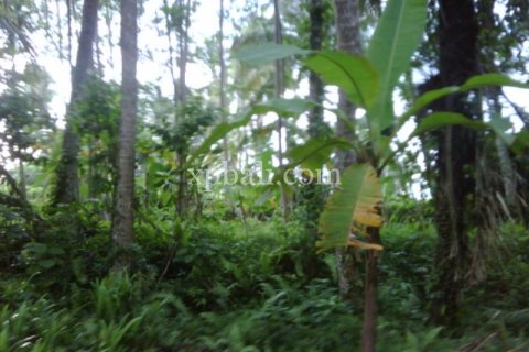 900m2 Land in Gianyar, Indonesia No. 13361 6