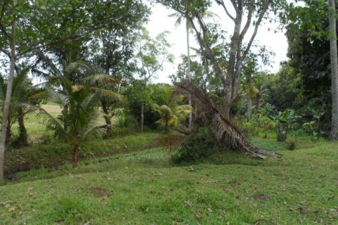 19400m2 Land in Tabanan, Indonesia No. 13362 11