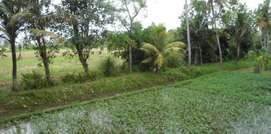 19400m2 Land in Tabanan, Indonesia No. 13362