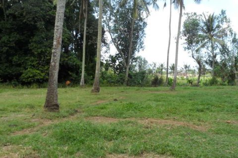 19400m2 Land in Tabanan, Indonesia No. 13362 2