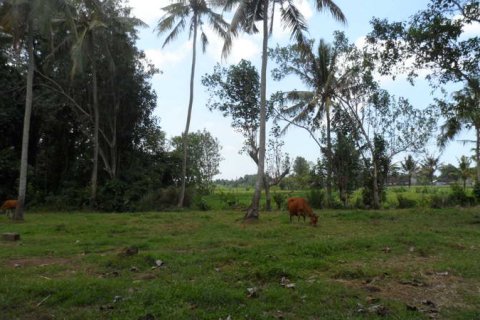 19400m2 Land in Tabanan, Indonesia No. 13362 14