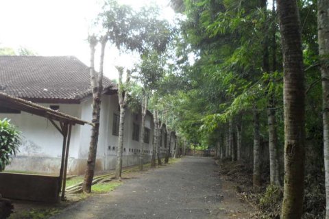19400m2 Land in Tabanan, Indonesia No. 13362 5