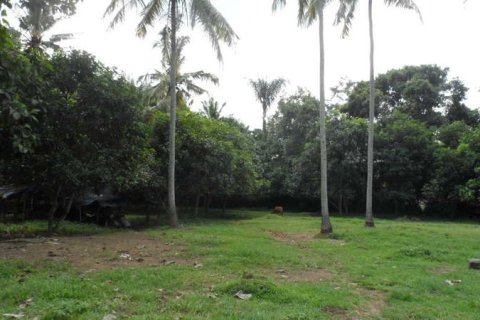 19400m2 Land in Tabanan, Indonesia No. 13362 9