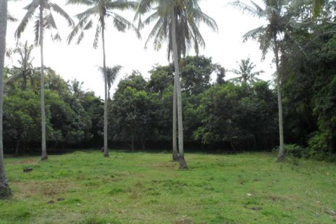 19400m2 Land in Tabanan, Indonesia No. 13362 12