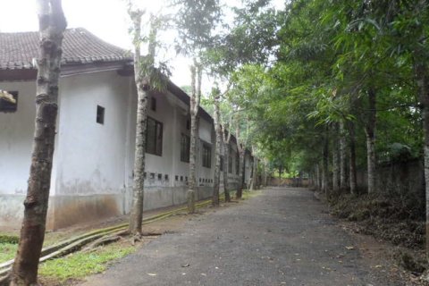 19400m2 Land in Tabanan, Indonesia No. 13362 4