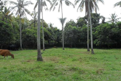 19400m2 Land in Tabanan, Indonesia No. 13362 13