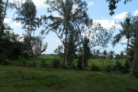 19400m2 Land in Tabanan, Indonesia No. 13362 3