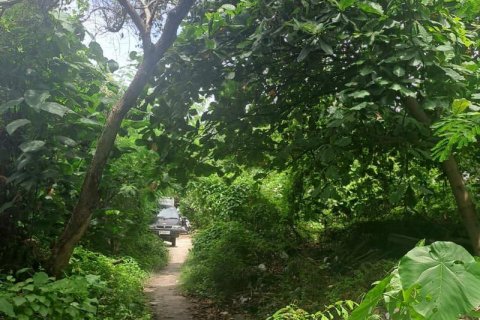 3248m2 Land in Canggu, Badung,  No. 9362 6