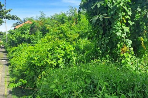 500m2 Land in Seminyak, Badung,  No. 9360 2