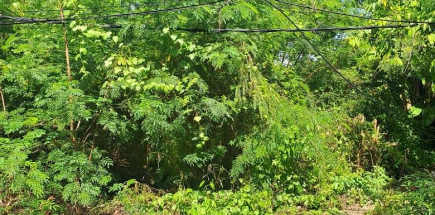 500m2 Land in Seminyak, Badung,  No. 9360