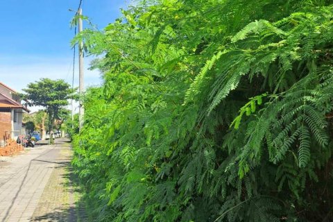 500m2 Land in Seminyak, Badung,  No. 9360 7