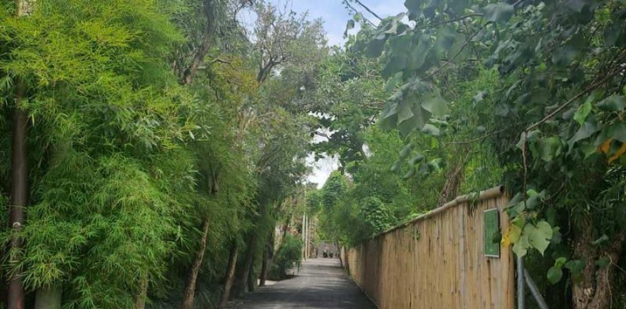 1080m2 Land in Canggu, Badung,  No. 9361