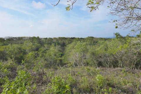 Земельный участок в Nusa Dua, Бадунг, Индонезия № 11312 10