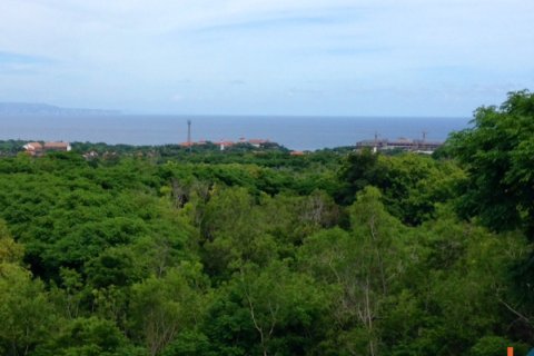 Земельный участок в Nusa Dua, Бадунг, Индонезия № 11312 6