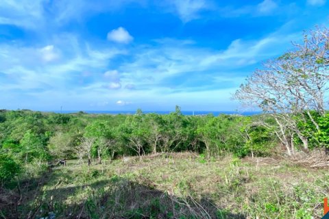 Земельный участок в Nusa Dua, Бадунг, Индонезия № 11312 2