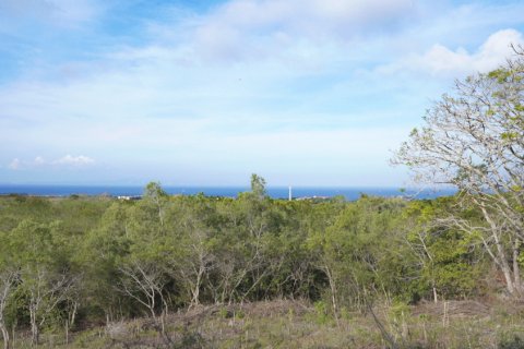 Земельный участок в Nusa Dua, Бадунг, Индонезия № 11312 9