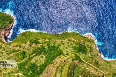 545m2 Land in Nusa Penida, Klungkung, Indonesia No. 13340 8