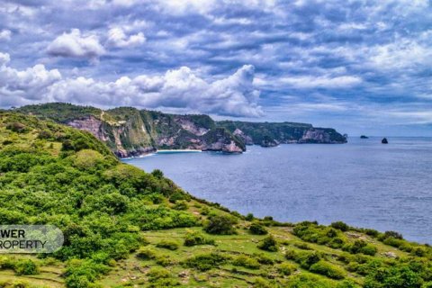 545m2 Land in Nusa Penida, Klungkung, Indonesia No. 13340 5