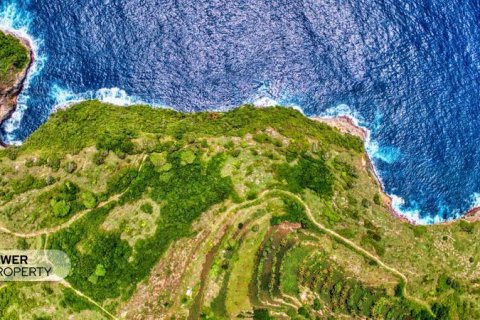 545m2 Land in Nusa Penida, Klungkung, Indonesia No. 13340 6
