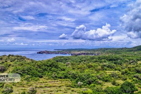 545m2 Land in Nusa Penida, Klungkung, Indonesia No. 13340 4