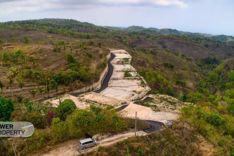 500m2 Land in Nusa Penida, Klungkung, Indonesia No. 13343 5