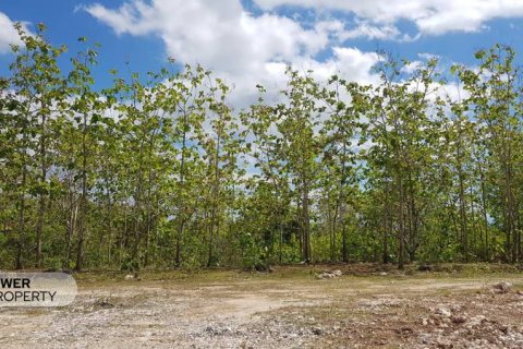 330m2 Land in Nusa Penida, Klungkung, Indonesia No. 13341 3