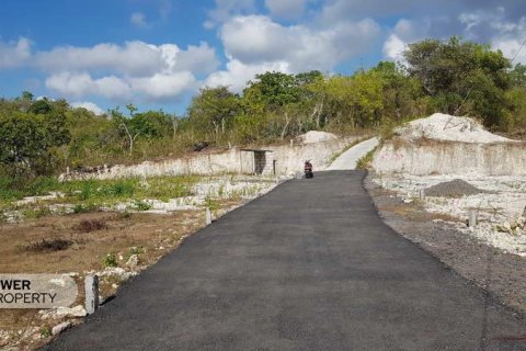 330m2 Land in Nusa Penida, Klungkung, Indonesia No. 13341 8