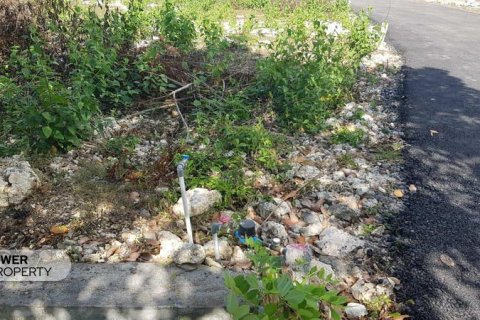 330m2 Land in Nusa Penida, Klungkung, Indonesia No. 13341 4