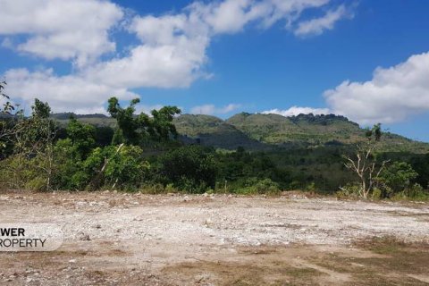 330m2 Land in Nusa Penida, Klungkung, Indonesia No. 13341 5