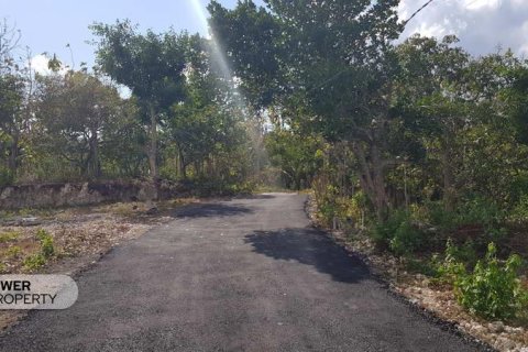 330m2 Land in Nusa Penida, Klungkung, Indonesia No. 13341 6