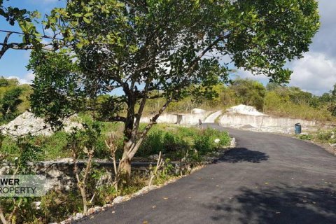 330m2 Land in Nusa Penida, Klungkung, Indonesia No. 13341 7