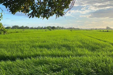 260m2 Land in Tabanan, Indonesia No. 13346
