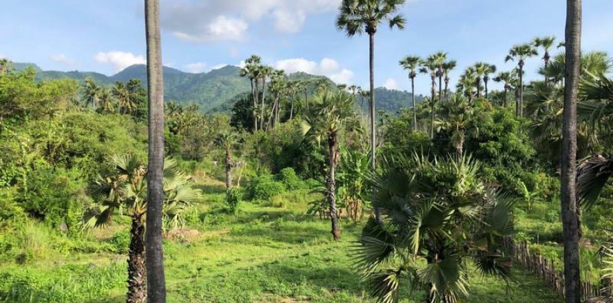 1000m2 Land in Karangasem, Karang Asem, Indonesia No. 13344