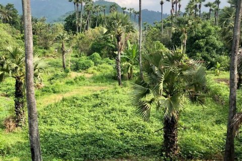 1000m2 Land in Karangasem, Karang Asem, Indonesia No. 13344 6