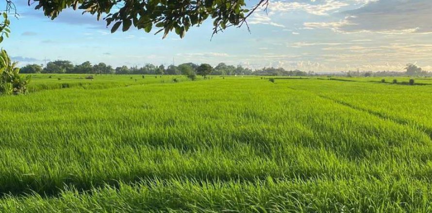 205m2 Land in Tabanan, Indonesia No. 13345