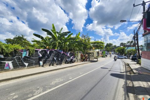 Земельный участок в Canggu, Бадунг, Индонезия № 11269 3