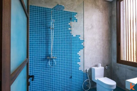 2 bedrooms Villa in Pererenan, Mengwi, Badung, Indonesia No. 11265 11