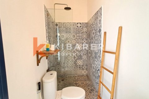 3 bedrooms Villa in Tibubeneng, Badung, Indonesia No. 12963 22
